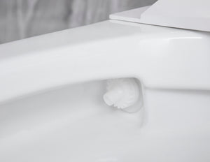 Intelligent Electric Smart Toilet Bidet Suite - Smarton-2230C-300E2W