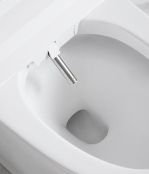 Intelligent Electric Smart Toilet Bidet Suite - Smarton-2230C-300E2W