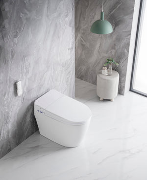 Intelligent Electric Smart Toilet Bidet Suite - Smarton-2230C-300E2W