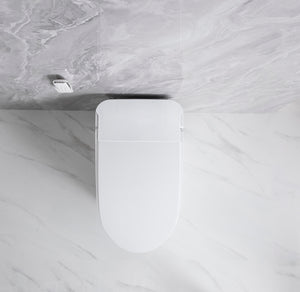 Intelligent Electric Smart Toilet Bidet Suite - Smarton-2230C-300E2W
