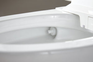 Intelligent Electric Smart Toilet Bidet Suite - Smarton-2217C-300WE2