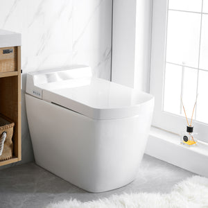 Intelligent Electric Smart Toilet Bidet Suite - SL650