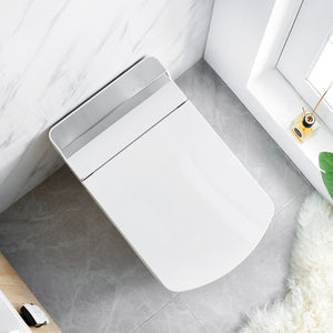 Intelligent Electric Smart Toilet Bidet Suite - SL650