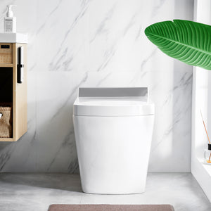 Intelligent Electric Smart Toilet Bidet Suite - SL650