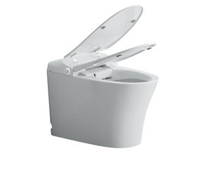 Intelligent Electric Smart Toilet Bidet Suite - Smarton - YC318GE