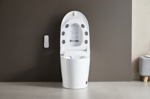 Intelligent Electric Smart Toilet Bidet Suite - Smarton-2217C-300WE2
