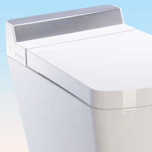 Intelligent Electric Smart Toilet Bidet Suite - SL650