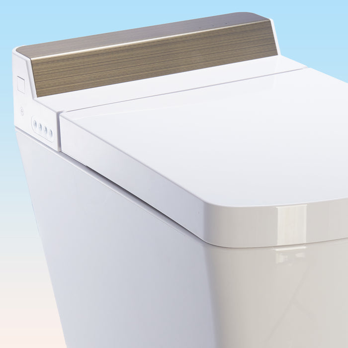Intelligent Electric Smart Toilet Bidet Suite - SL670