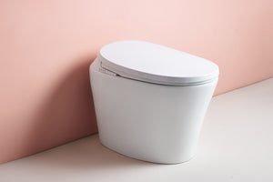 Intelligent Electric Smart Toilet Bidet Ceramic Toilet Suite--Smarton-R500C