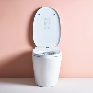 Intelligent Electric Smart Toilet Bidet Ceramic Toilet Suite--Smarton-R500C