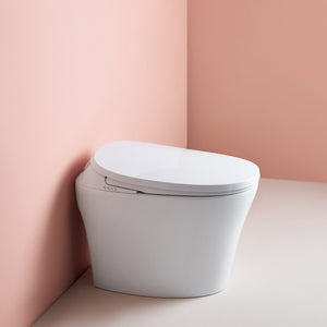 Intelligent Electric Smart Toilet Bidet Ceramic Toilet Suite--Smarton-R500C