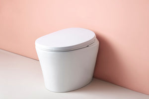 Intelligent Electric Smart Toilet Bidet Ceramic Toilet Suite--Smarton-R500C