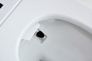 Intelligent Electric Smart Toilet Bidet Ceramic Toilet Suite--Smarton-R500C