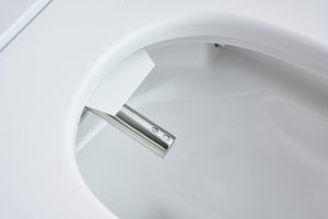 Intelligent Electric Smart Toilet Bidet Ceramic Toilet Suite--Smarton-R500C