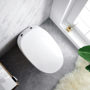 Intelligent Electric Smart Toilet Bidet Ceramic Toilet Suite--Smarton-R500C