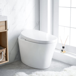 Intelligent Electric Smart Toilet Bidet Ceramic Toilet Suite--Smarton-R500C