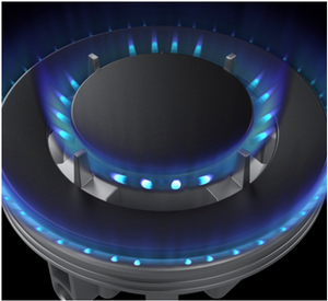 Fotile Cooktop GLS90303S