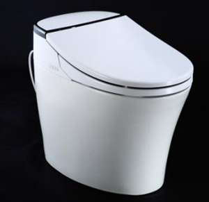 Intelligent Electric Ceramic Smart Toilet Bidet Toilet Suite--Smarton-R800