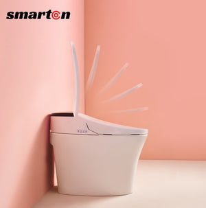 Intelligent Electric Ceramic Smart Toilet Bidet Toilet Suite--Smarton-R800