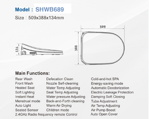 Automatic smart toilet seat/Smart bidet remote control - Smarton-B689G