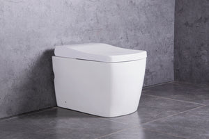 Intelligent Electric Ceramic Rectangle Smart Toilet Bidet Toilet Suite--Smarton-S300