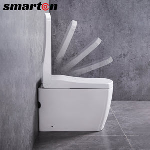 Intelligent Electric Ceramic Rectangle Smart Toilet Bidet Toilet Suite--Smarton-S300